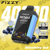 Fizzy Nqva Plus Blueberry Ice engångsvape med digital display, omgiven av blåbär och iskuber, med stor text '4000 bloss' samt ikoner för effektjustering och Dual Mesh Coil.