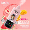 Werbebild für Bang Leader Vape mit einem rosa Vape -Gerät mit einem Cartoon -Affen, der Kopfhörer trägt, umgeben von Obstbildern wie Wassermelone, Pfirsich, Mango, Orange und Eis, Werbung von 8500 Puffs und Aromen Wassermeloneneis, Mango -Pfirsich und Orangen -Limonaden.