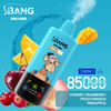 Werbebild eines Blue Bang Leader Vape -Geräts mit einem Cartoon -Affen mit Fruchtabbildungen wie Kirsche, Cranberry, Pfirsich, Mango und Ananas auf blauem Hintergrund, Werbung von '3 min 1', 8500 Puffs und mehreren Geschmacksrichtungen.