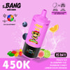 Emballage du set de saveurs Bang Leader 450000 Pêche glacée Myrtille glacée Bonbon arc-en-ciel Citron orange acidulé