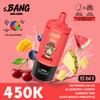 Pack de saveurs Bang Leader 450000 – Pastèque Glacée, Myrtille, Cerise, Summer Time, Mangue Acidulée, Ananas