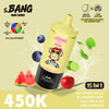 Emballage du set de saveurs Bang Leader 450000 Pastèque glacée Myrtille menthe Pomme Fuji glacée Romance citron vert