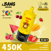 Emballage du set de saveurs Bang Leader 450000 Pastèque glacée Cerise Canneberge Fraise Mangue
