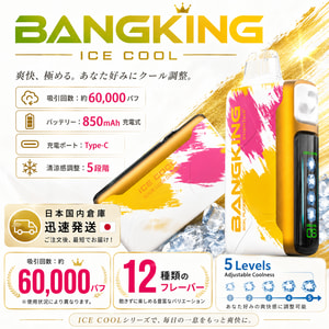 Close-up of colorful BANGKING ICE COOL vape devices with ice cubes, highlighting features like 60,000 puffs, 850mAh battery, Type-C charging, 5 coolness levels, and 12 flavors