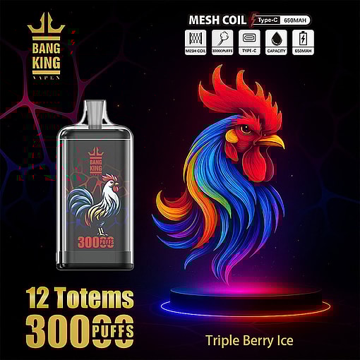 Promotional Image For Bang King Vape Featuring A Colorful, Neon-Styled Rooster Illustration, A Vape Device With Matching Rooster Design, And Text Highlighting 30,000 Puffs, Mesh Coil Technology, Type-C Charging, 650Mah Battery, And The 'Triple Berry Ice' Flavor.