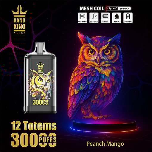 Colorful Digital Illustration Of An Owl Beside A Bang King Vape Device With Owl Artwork, Highlighting Features Like 30000 Puffs, Mesh Coil, 650Mah Battery, And The Peach Mango Flavor.