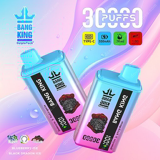 Two Bang King Disposable Vapes With Light Blue And Pink Gradient Design, Featuring A Bulldog Illustration And Product Details Indicating 3000 Puffs, Type-C Charging, 550Mah Battery, 36Ml Capacity, Mesh Coil, And Flavors Blueberry Ice And Black Dragon Ice, Set Against A Vibrant Pastel Background.