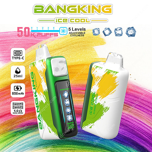 Two Bangking Ice Cool Disposable Vapes With Colorful Streak Designs, Showing Product Features Like 50,000 Puffs, 850Mah Battery, 25Ml Capacity, Usb-C Charging, Adjustable Coolness, And Dual Mesh Coils On A Vibrant Rainbow Background.