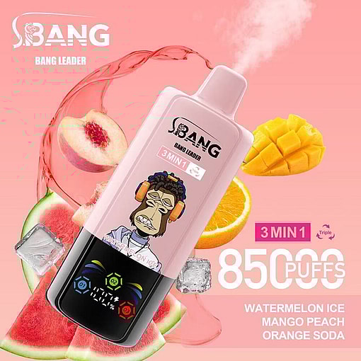 Promotional Image For Bang Leader Vape Featuring A Pink Vape Device With A Cartoon Monkey Wearing Headphones, Surrounded By Fruit Images Including Watermelon, Peach, Mango, Orange, And Ice, Advertising 8500 Puffs And Flavors Watermelon Ice, Mango Peach, And Orange Soda.