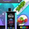 Promotionele afbeelding voor een Bang Vape -apparaat, met een gestileerde schedelafbeelding op het apparaat en afbeeldingen van munt, ijs, aardbeien, frambozen, bosbessen en bramen, wat een gemengde bessen menthol -smaak aangeeft.