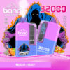 Publicité colorée pour la vape aux fruits mélangés de Bang Disposable, présentant deux appareils de vape avec un design violet et bleu vibrant, entourés de fruits, une illustration de voiture, une silhouette à capuche avec des flammes en arrière-plan et des spécifications de produit comprenant 32 000 bouffées, une puissance réglable et un chargement USB-C.