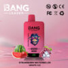 Pink Bang Leader Leader Idi nach Vape -Gerät mit einem Cartoon -Affen -Logo, umgeben von Erdbeeren, Wassermelonen, Trauben und Eiswürfeln, mit Text, die 45.000 Puffs und die Aromen Erdbeer -Wassermelonen -Traubeneis anzeigen.