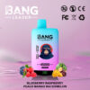 Bang Leader Vape -Gerät mit einem Cartoon -Affen, der Sonnenbrille auf dem Etikett trägt, umgeben von illustrierten Blaubeeren, Himbeeren, Pfirsich, Mango und Wassermelone, mit einem digitalen Puff -Theke und verschiedenen Zertifizierungssymbolen, die vor einem rosa und lila Gradientenhintergrund gesetzt sind.