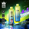 Promotie-afbeelding met twee Bang Blaze 4-in-1 vape-apparaten met '60000' trekjes en een digitaal display, tegen een kleurrijk, futuristisch landschap en met functies zoals een 650 mAh-batterij, 1,0 Ω-spoel en opladen via USB Type-C.