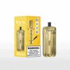 Bang E-Shisha Head Mint Vape-product met goudkleurig apparaat en verpakking, met een Shisha-illustratie, muntsmaaklabel en een waarschuwing voor nicotine verslaving.