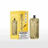 Bang e-shisha kopwijdbare vape in aardbeienwatermeloensmaak met goudkleurige verpakking en product, naast een felgele productdoos met een geïllustreerde waterpijp- en nicotine-waarschuwingslabel.