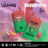 Promotionele afbeelding voor Sbang Bang Leader Wegwerpvape met twee rode en groene gradiëntapparaten, een gestileerd apenlogo en tekst met een markering van 80.000 kiezels, Triple Flavours (Kiwi Guava, Lychee Ice, Mango Peach Pineapple) en een nicotine -waarschuwing.