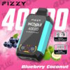 Fizzy Brand Vape -apparaat met een turquoise en zwart ontwerp, met het label 'NQVA Plus' en 'Blueberry Coconut', omgeven door afbeeldingen van bosbessen en kokosnoten, en met versnellingsaanpassing en dubbele mesh -spoelpictogrammen op een roze achtergrond met '4000 puffs' -tekst.