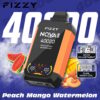 Promotionele afbeelding voor Fizzy Nova Plus Vape -apparaat met een weergave van het product, smaaknaam Peach Mango Watermelon, Puffs Count van 4000 en afbeeldingen van watermeloen, mango en perzik met versnellingsaanpassing en dubbele mesh -spoelpictogrammen.