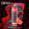 Kleurrijke productverpakkingen voor een gestileerde illustratie met levendig rood en blauw haar, mystieke symbolen en de branding "ōkso" met de productnamen "Lush Ice" en "Shisha Hookah Mega."