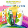 Twee Bangking Ice Cool Weggogelvappen met kleurrijke streak-ontwerpen, met productkenmerken zoals 50.000 trekjes, 850 mAh batterij, 25 ml capaciteit, USB-C-opladen, verstelbare koelte en dubbele mesh-spoelen op een levendige regenboogachtergrond.