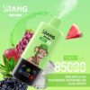 S.Bang Vape -apparaat met cartoonaapillustratie, omgeven door afbeeldingen van appel, druiven, watermeloen, aloë, frambozen en ijs, met de markering van 8500 kieeks en smaken Red Apple Ice, Raspberry Watermelon en Aloë -druif.