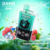 Bang Leader Stotl 2-In-1 Vape Device With A Gorilla Logo, Surrounded By Splashing Water, Ice Cubes, Raspberries, Lychees, And A Mint Leaf, Highlighting The Flavors Raspberry Mojito Peach Ice And Lady Killer.