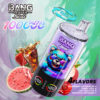 Bang Leader Stoll Disposable Vape Device Featuring Vibrant Packaging With A Cartoon Bear In Sunglasses, Surrounded By Images Of Watermelon, Strawberry, Cola, Peach, And Grapefruit, Highlighting Four Available Flavors And 100,000 Puffs.